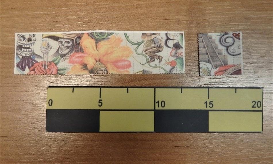 2018-3-14-750foto 6.jpg